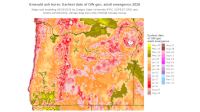 EAB_Earliest_PEMp0_20261231.png