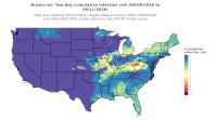 thumbs/BROT_Cum_Inf_Risk_2day_20260911.t.jpg