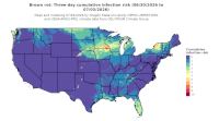 thumbs/BROT_Cum_Inf_Risk_3day_20260703.t.jpg