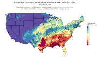 thumbs/BROT_Cum_Inf_Risk_4day_20261004.t.jpg