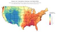 thumbs/BROT_Cum_Inf_Risk_Total_20260802.t.jpg