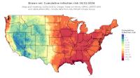 thumbs/BROT_Cum_Inf_Risk_Total_20261031.t.jpg