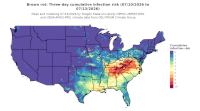 thumbs/BROT_Cum_Inf_Risk_3day_20260713.t.jpg