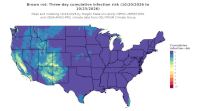 thumbs/BROT_Cum_Inf_Risk_3day_20261023.t.jpg